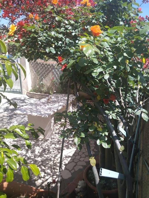 Gollai House Apartment Orosei Bagian luar foto